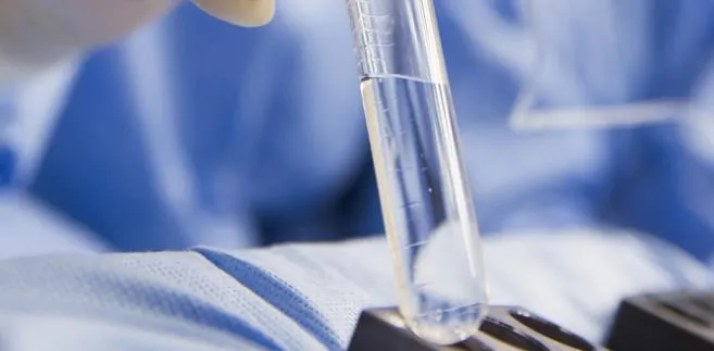 In vitro
