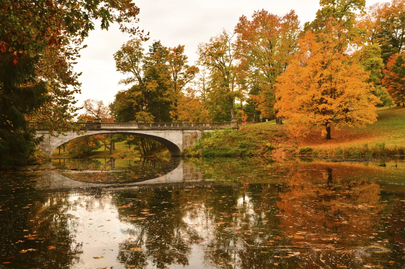 2313618-hyde-park.jpg