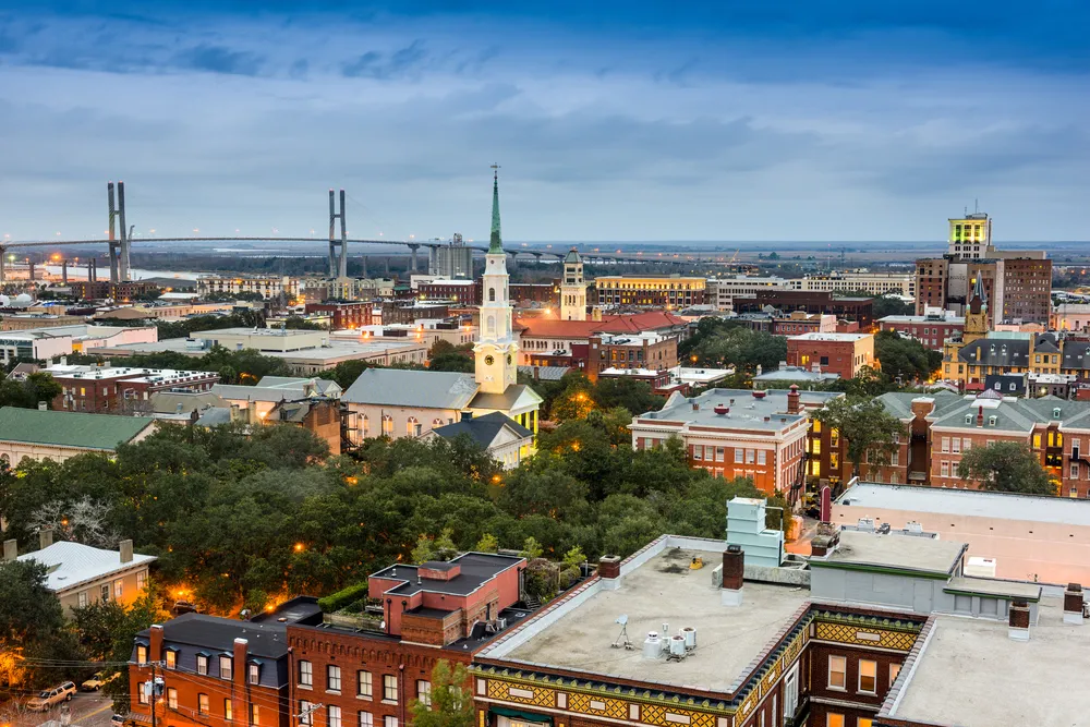 2639147-savannah.jpg