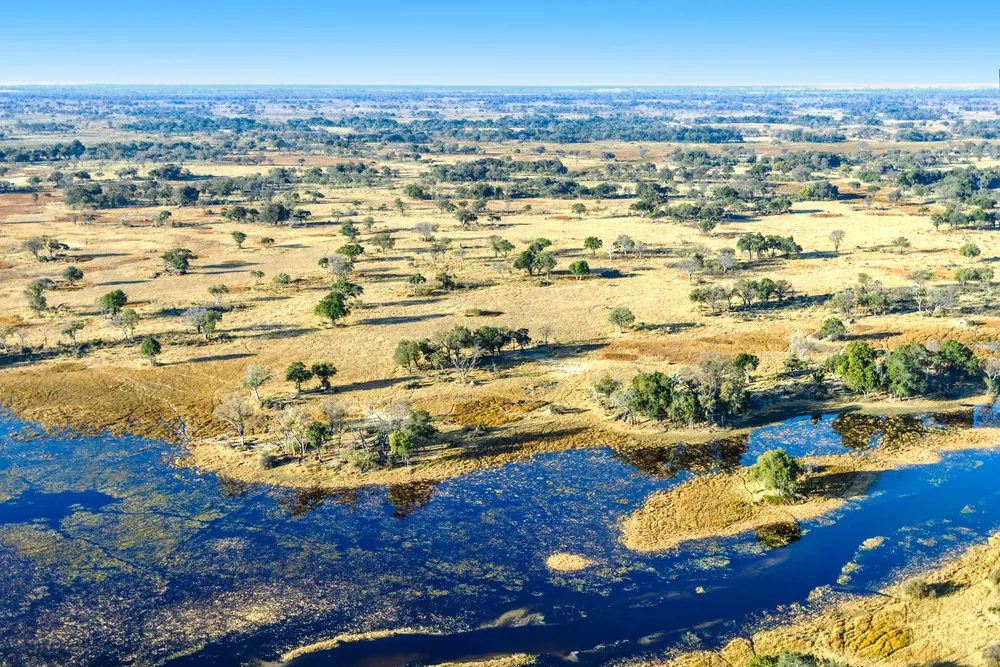 2357550-botswana.jpg