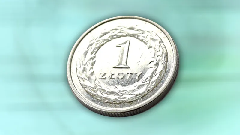 Chrzanowski: Płynny kurs złotego to bufor, który może nas oddzielić od kryzysu