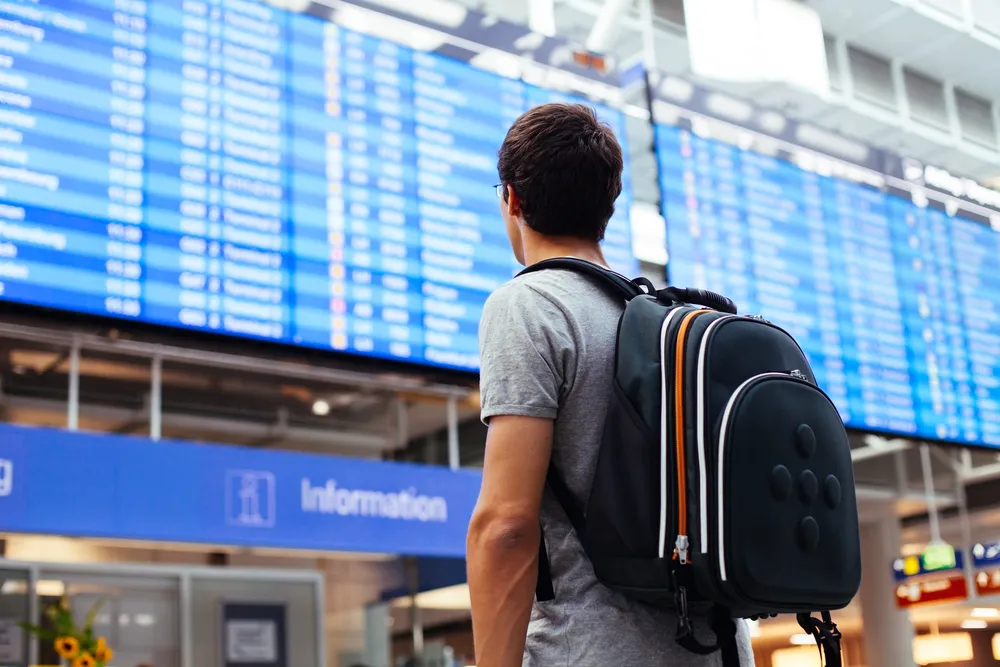 3017679-gap-year.jpg