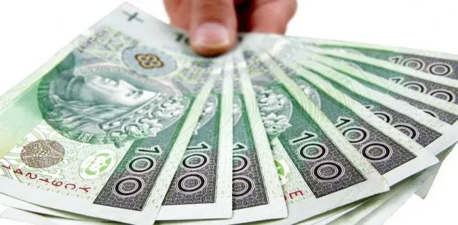 Wsparcia techniczne powstrzymują aprecjację złotego 