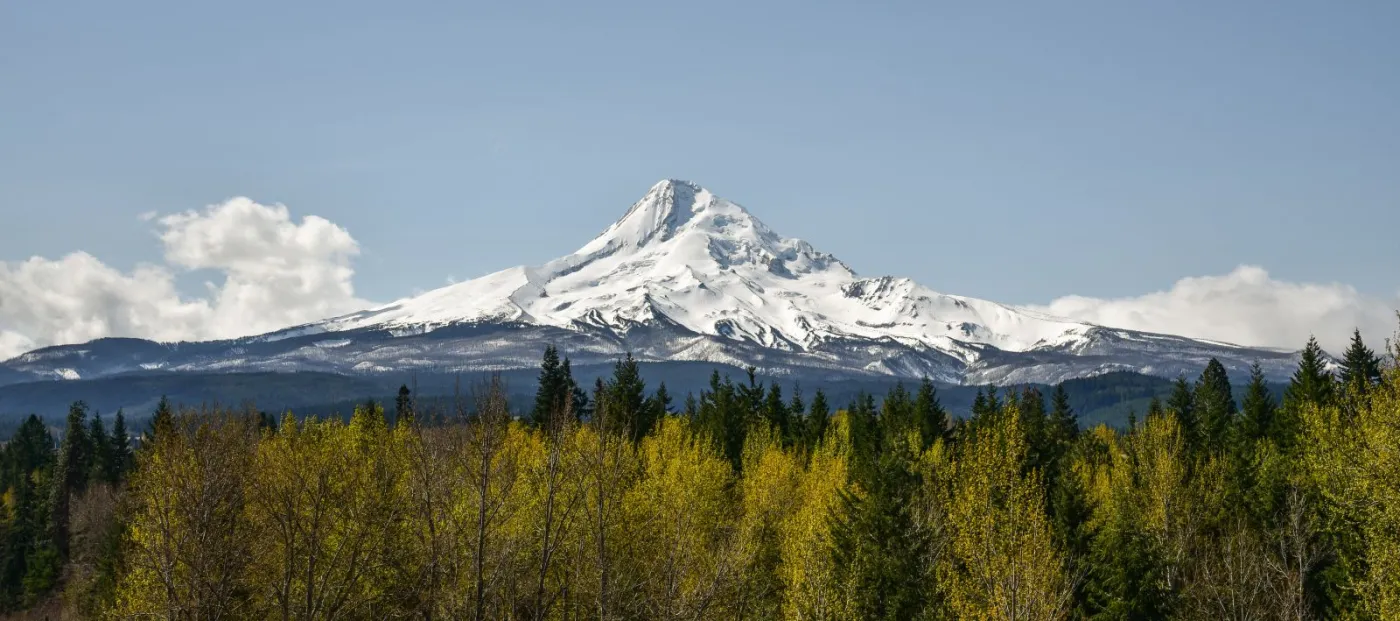 USA: Uratowano alpinistów, którzy utknęli na Mount Hood