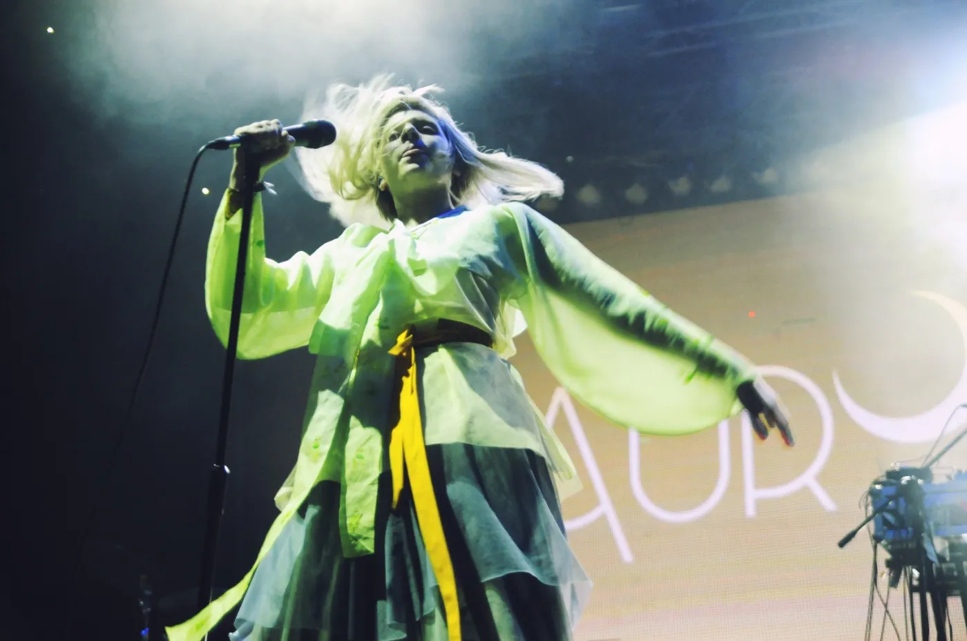 3498989-aurora-3.jpg