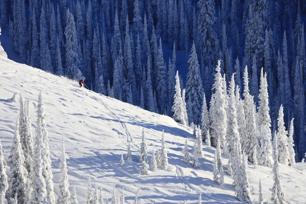 1104756-whitefish.jpg