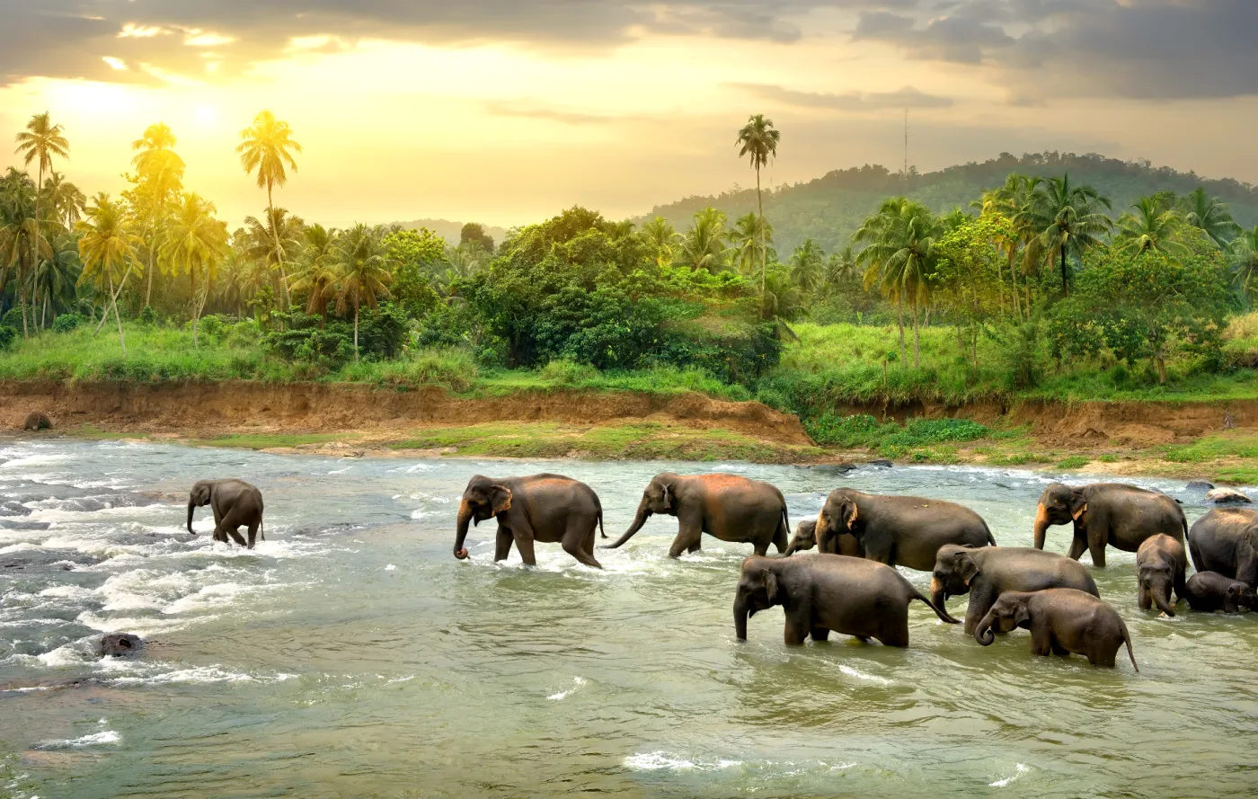 Sri Lanka: Nie będzie śledztwa w sprawie zbrodni wojennych