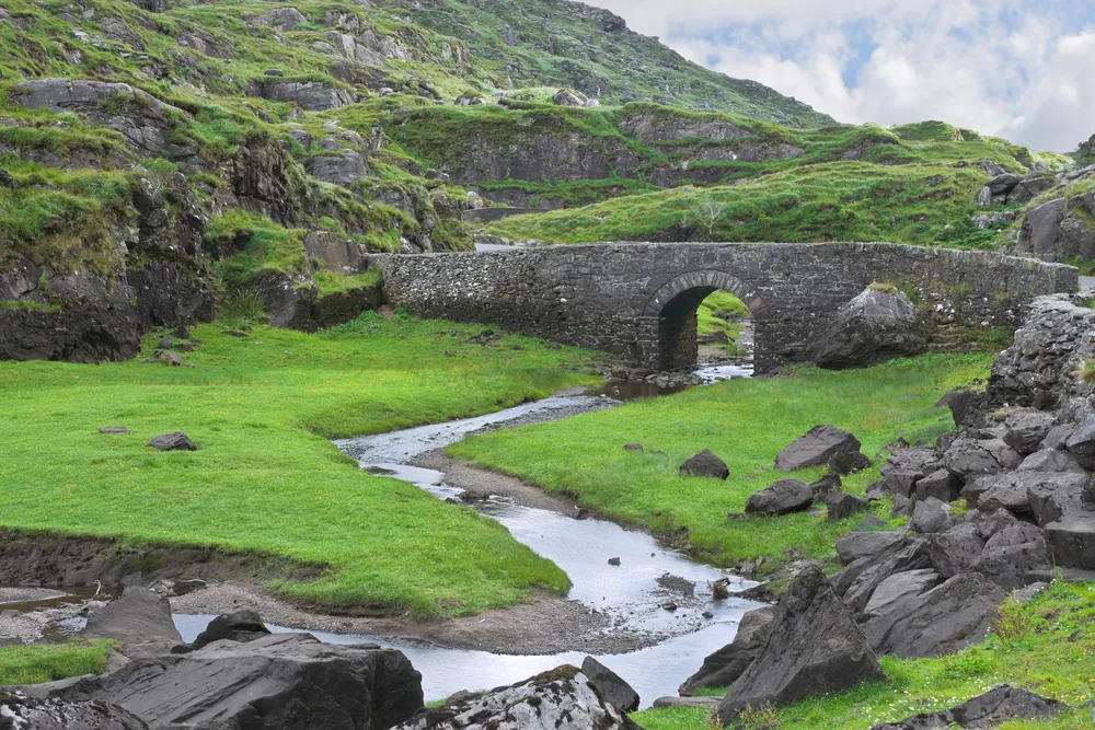 Irlandia: Najwyższa dobowa liczba zgonów z powodu koronawirusa - 41, łącznie już 406