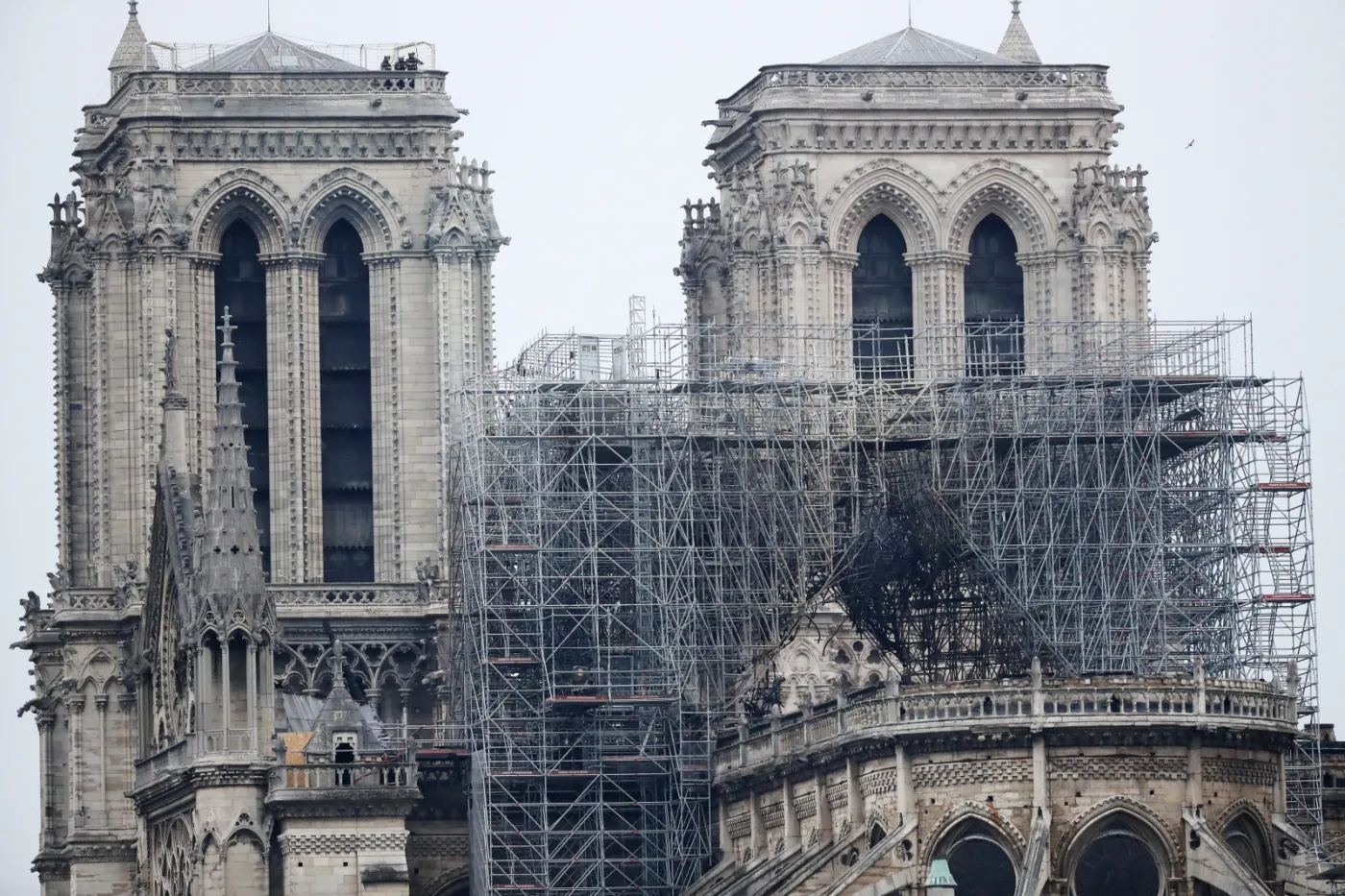 Katedra Notre Dame jednoczy i dzieli