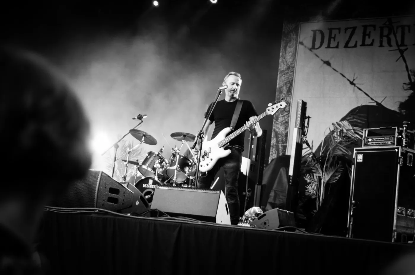 4284756-dezerter-4.jpg