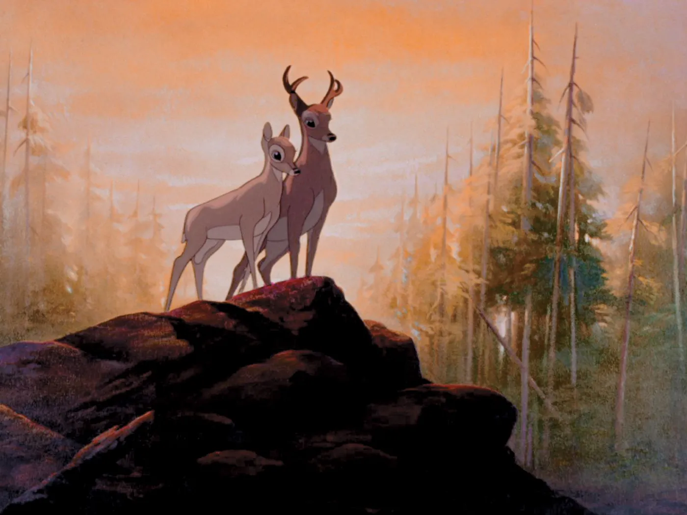 1880873-bambi.jpg