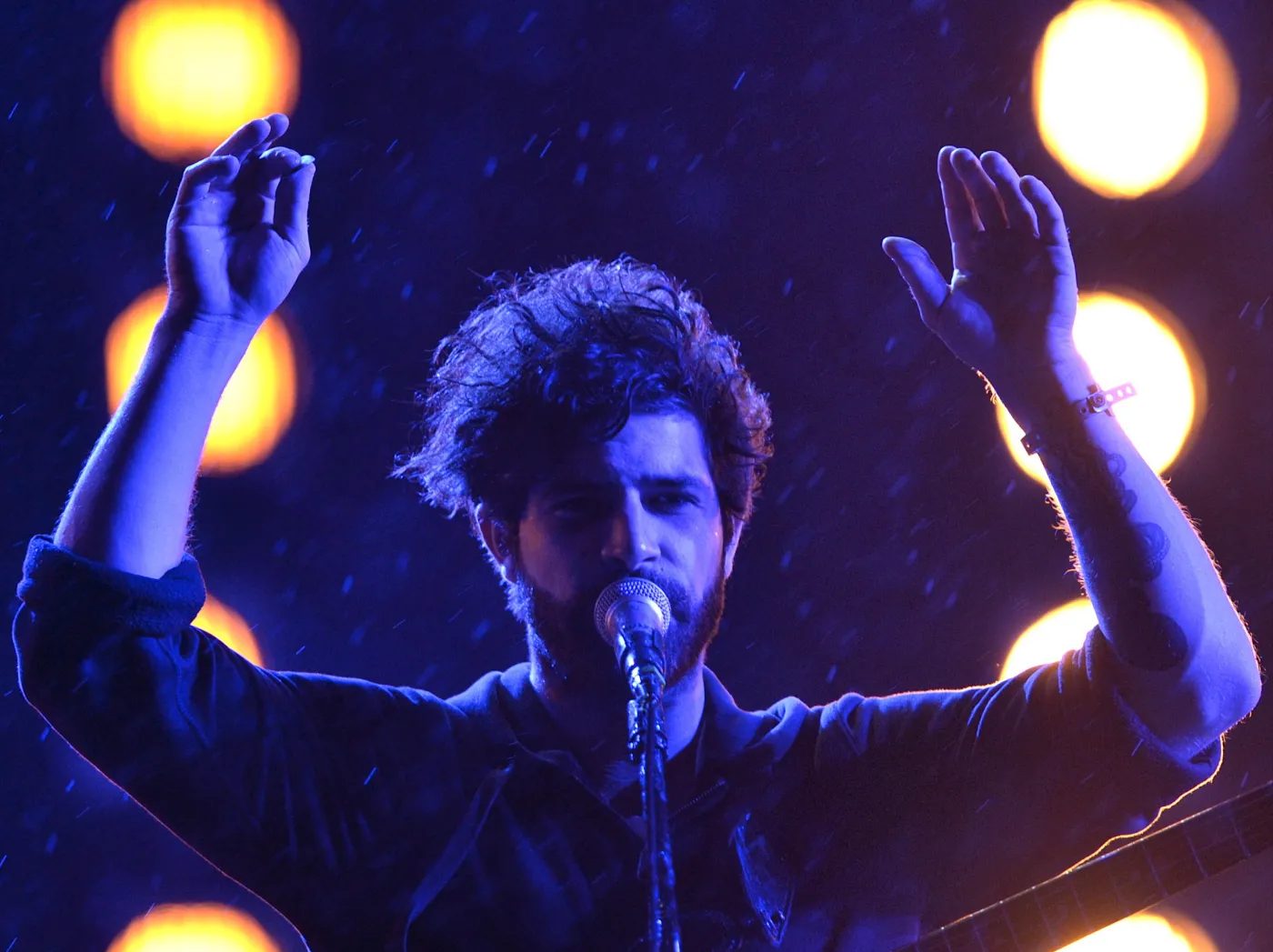 2235441-foals.jpg