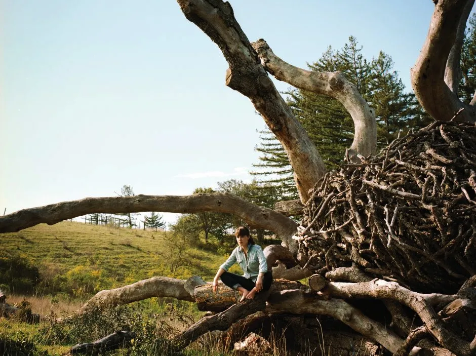 2560953-feist.jpg