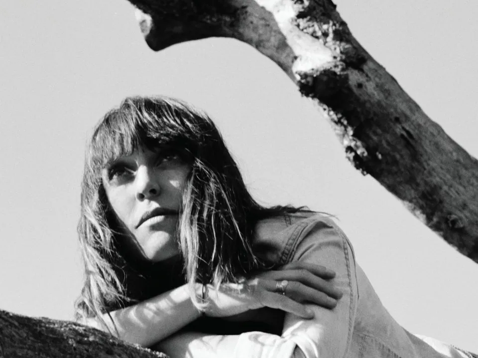 2561359-feist.jpg