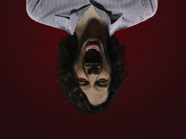 2981192-gotye.jpg