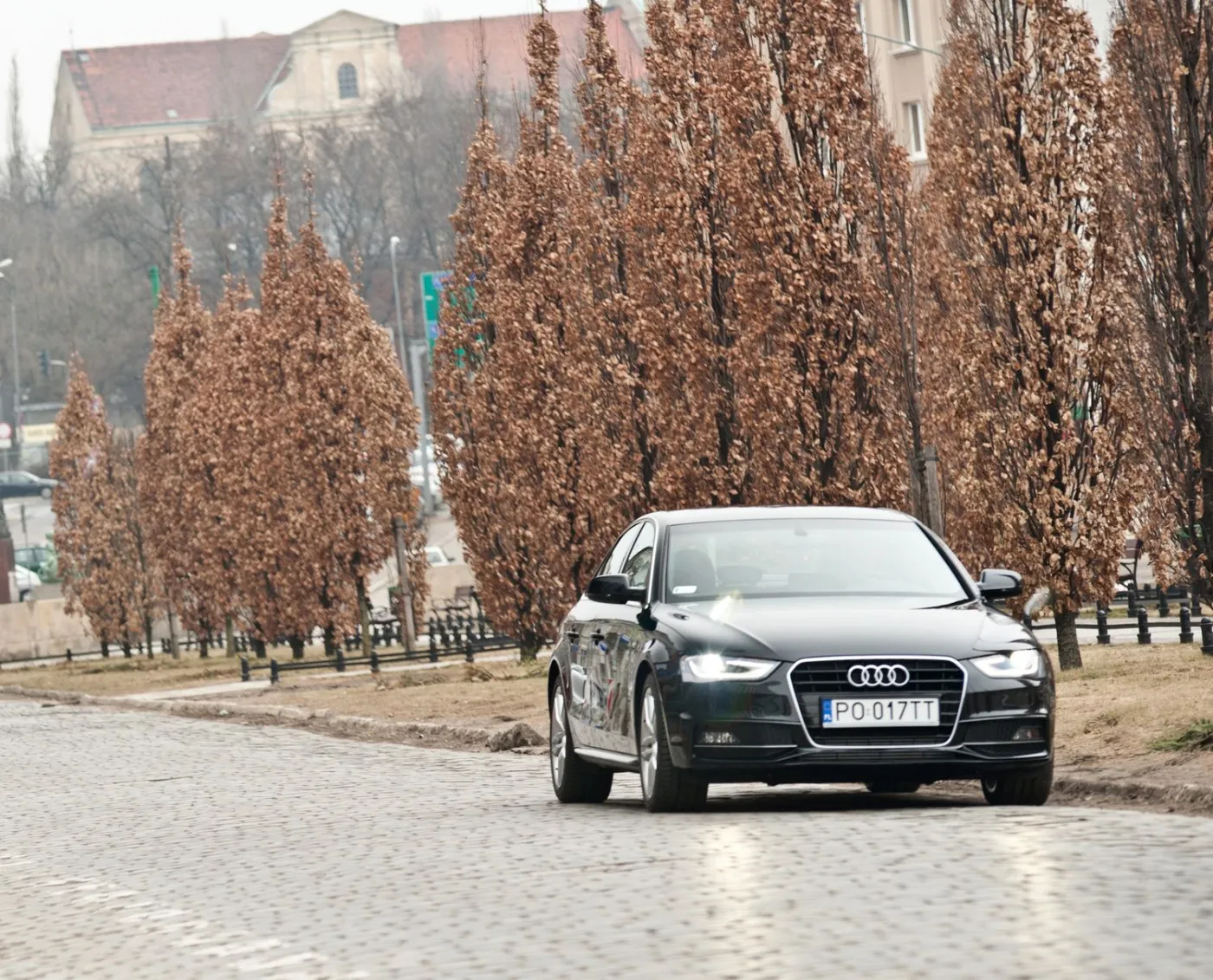 3248472-audi.jpg