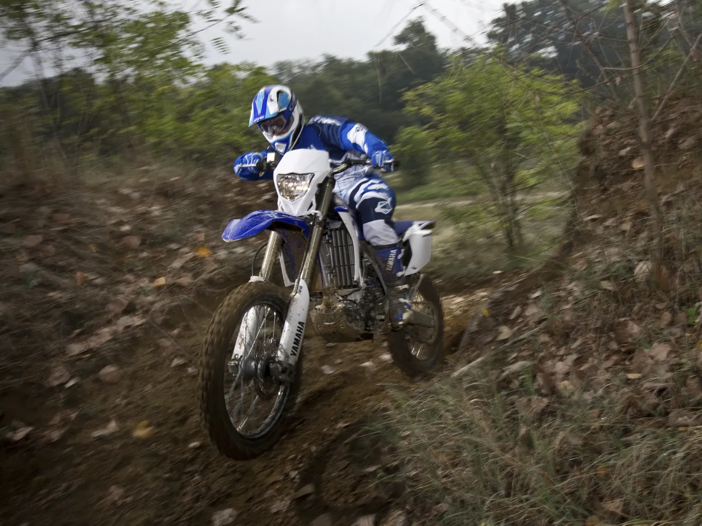  YAMAHA WR450F 2012
