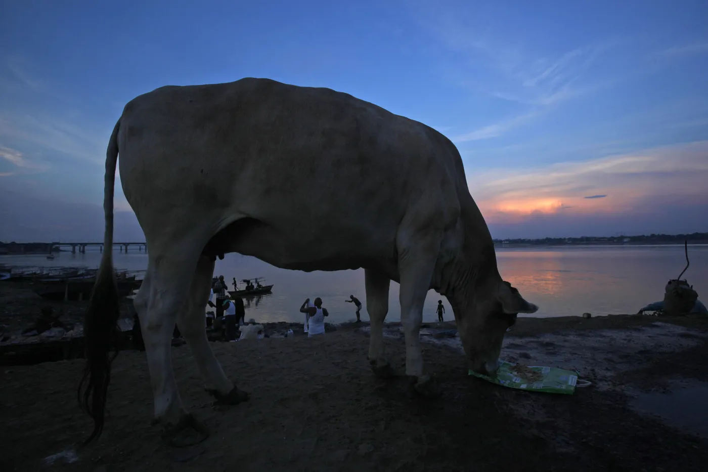 4030996-ganges.jpg