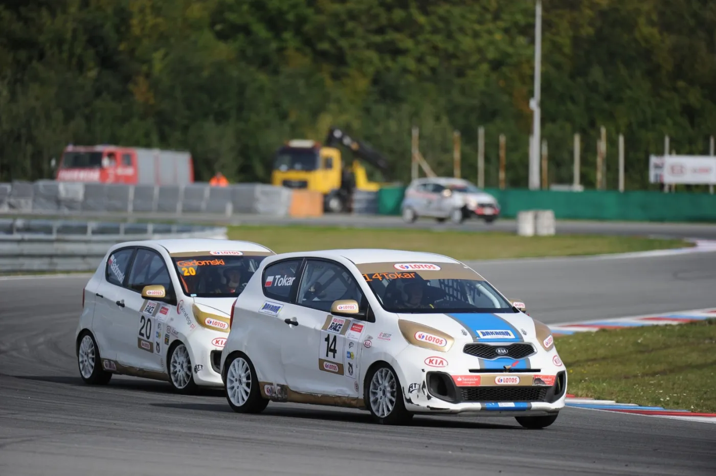 4065556-pic06.jpg