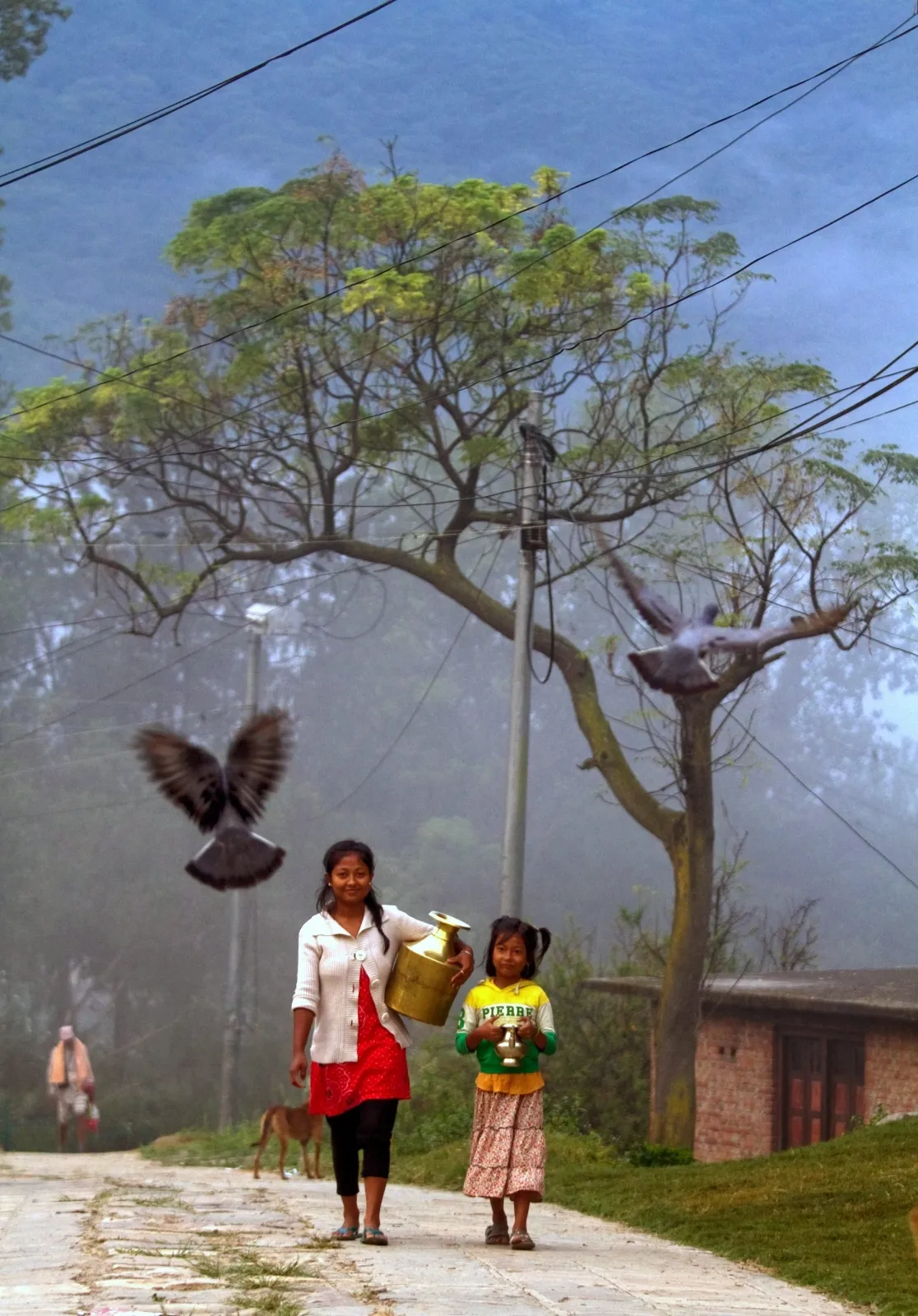 4140832-nepal.jpg