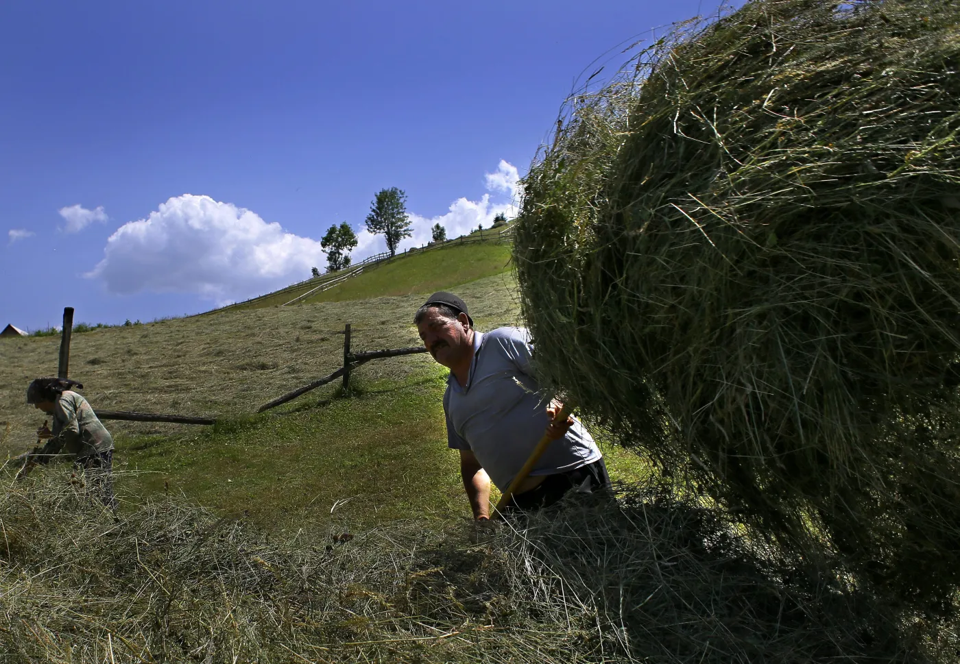 3871757-rolnik.jpg
