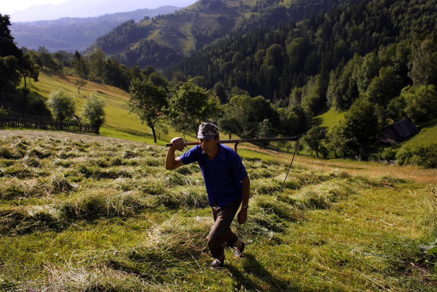 3873041-rolnik.jpg