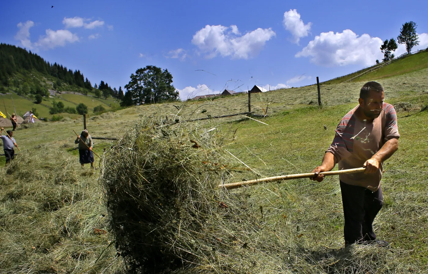 3873070-rolnik.jpg