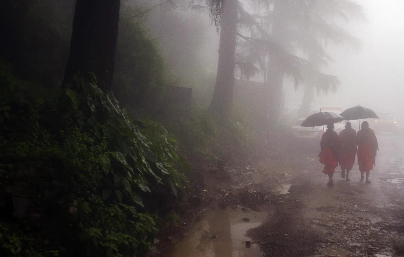 3992531-monsun.jpg