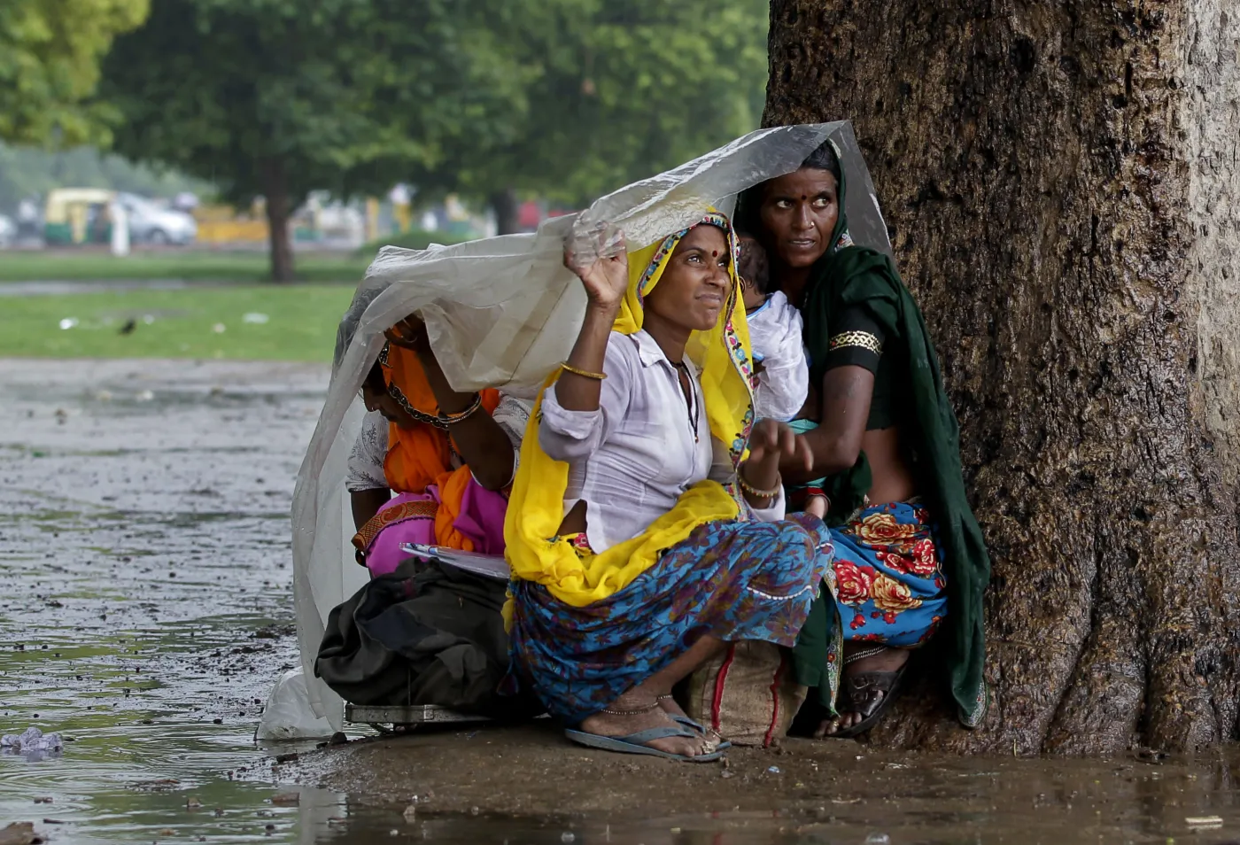 3992358-monsun.jpg