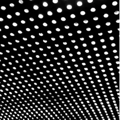 4394312-bloom.jpg