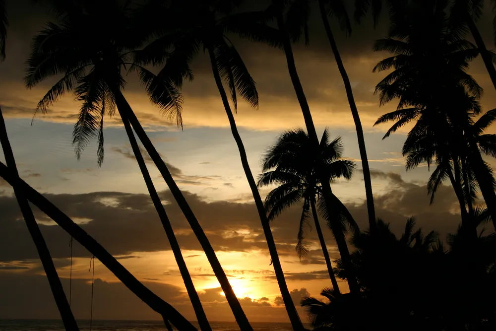 4463629-samoa.jpg