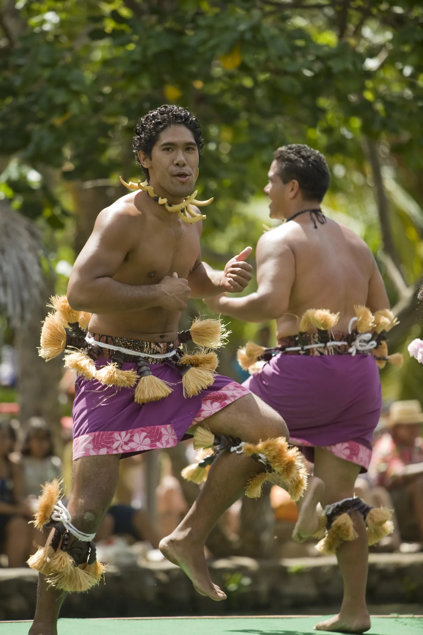 4463716-samoa.jpg