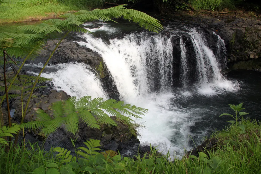 4463803-samoa.jpg