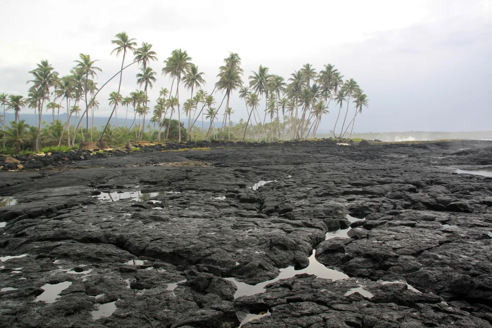 4463861-samoa.jpg