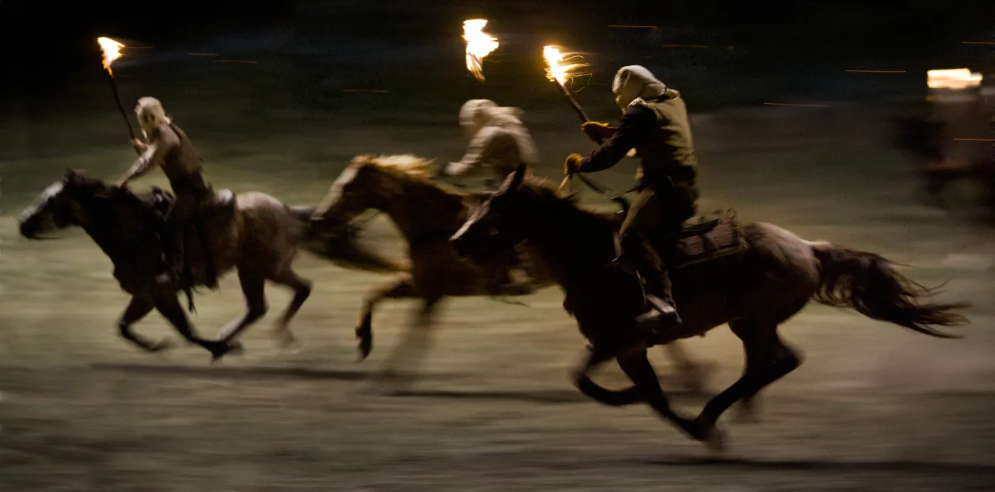 4527607-django.jpg