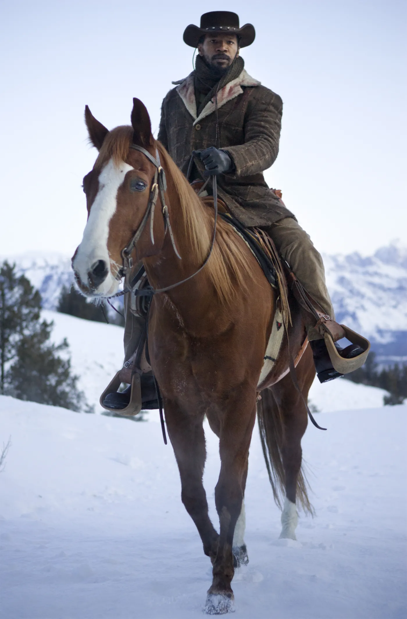 4527649-django.jpg