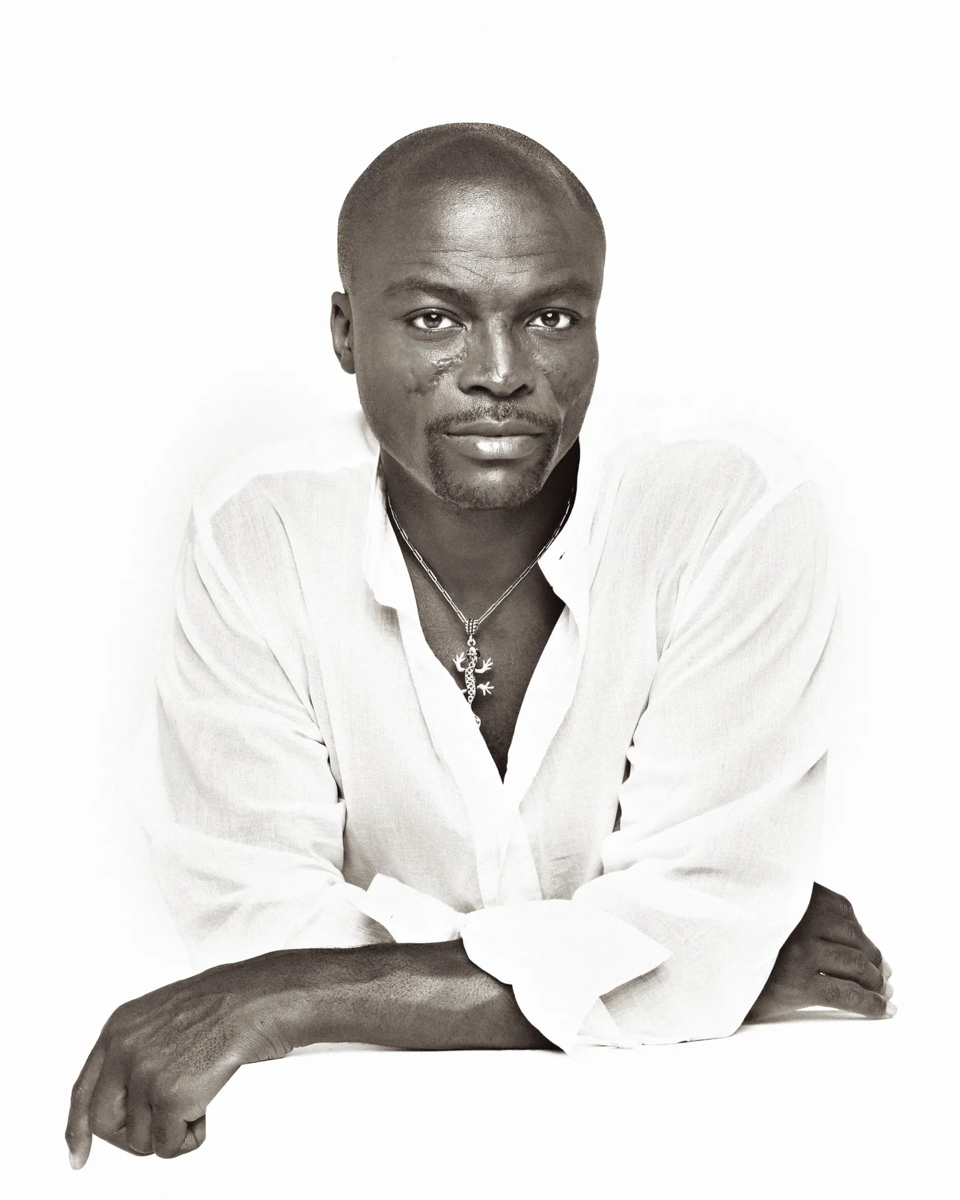 4638997-seal.jpg