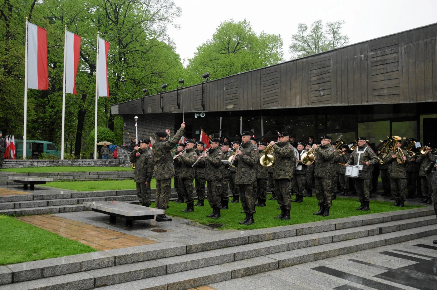 4920278-3-maja.jpg