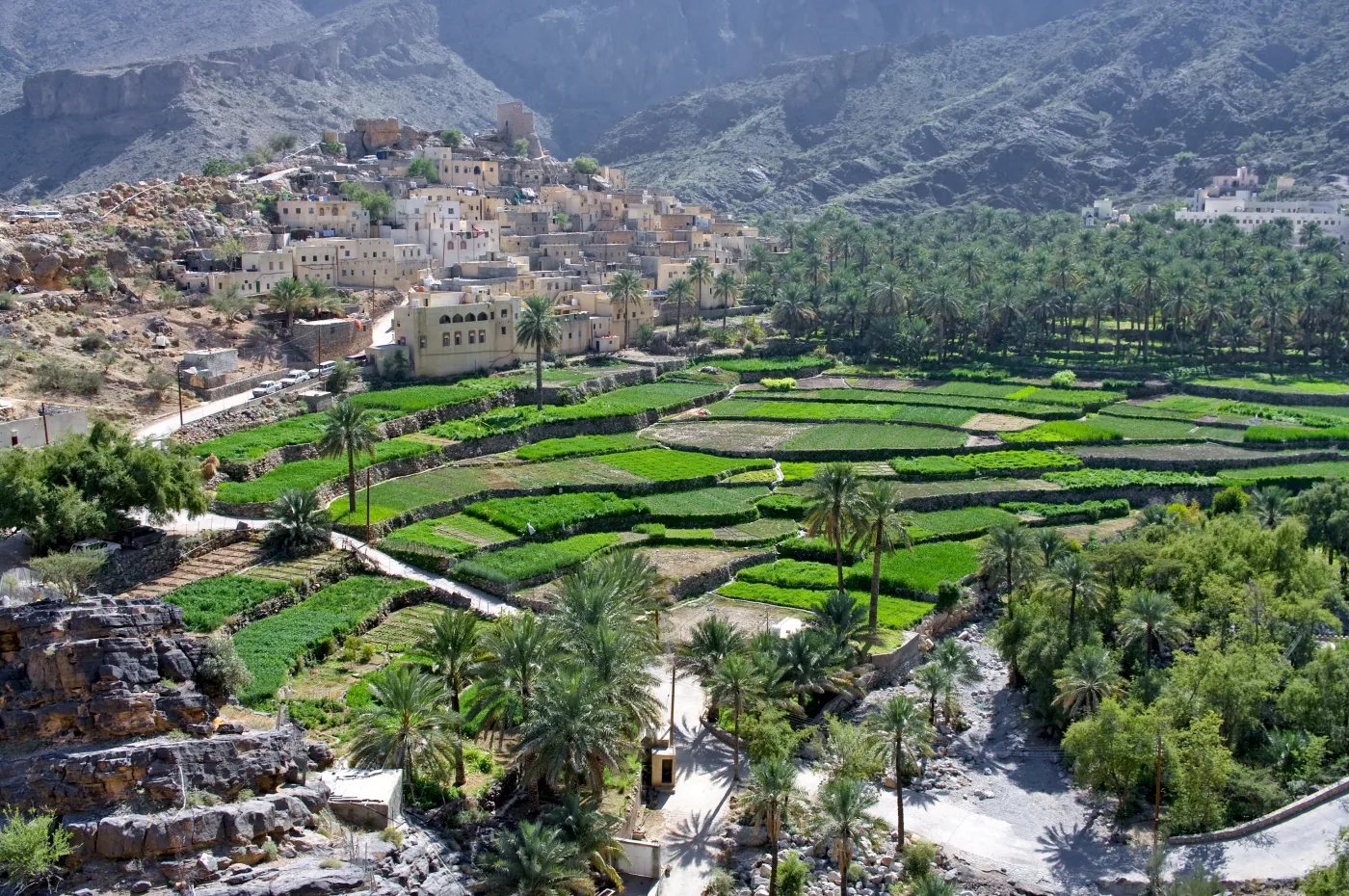 4680276-oman.jpg