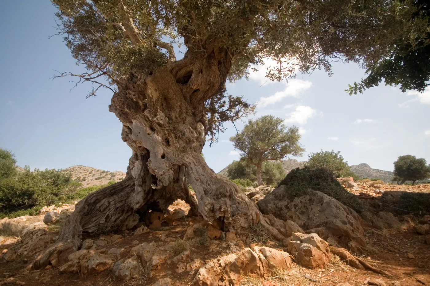 4685995-kreta.jpg
