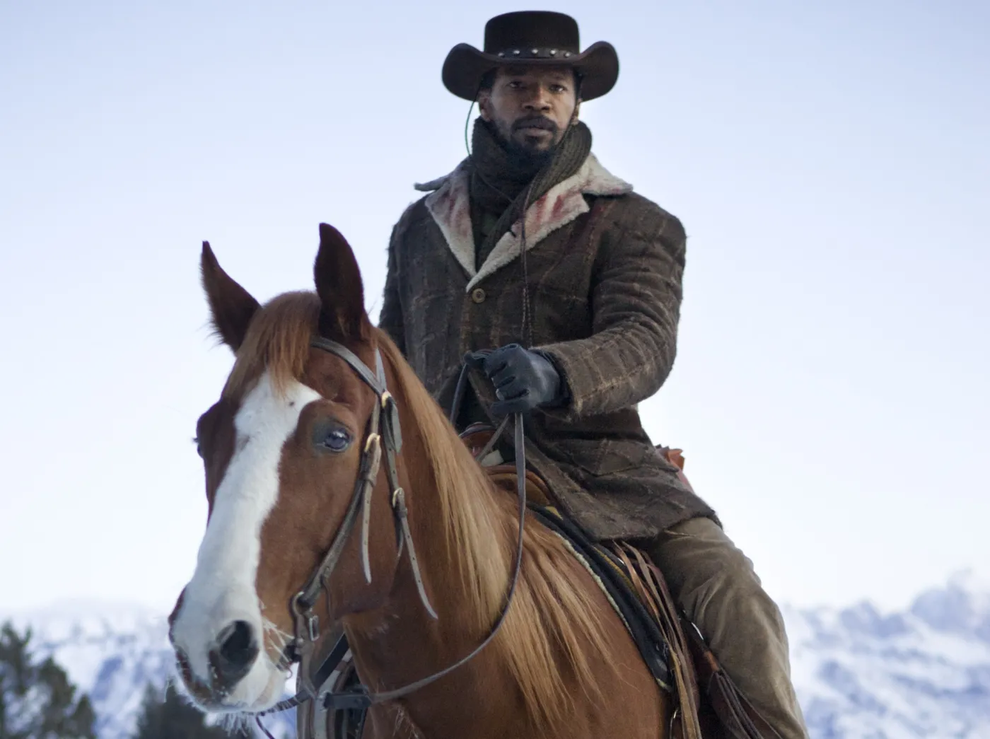 4529837-django.jpg