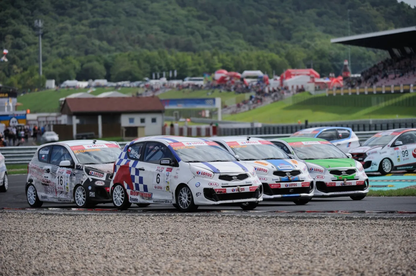 5360420-wrobel.jpg
