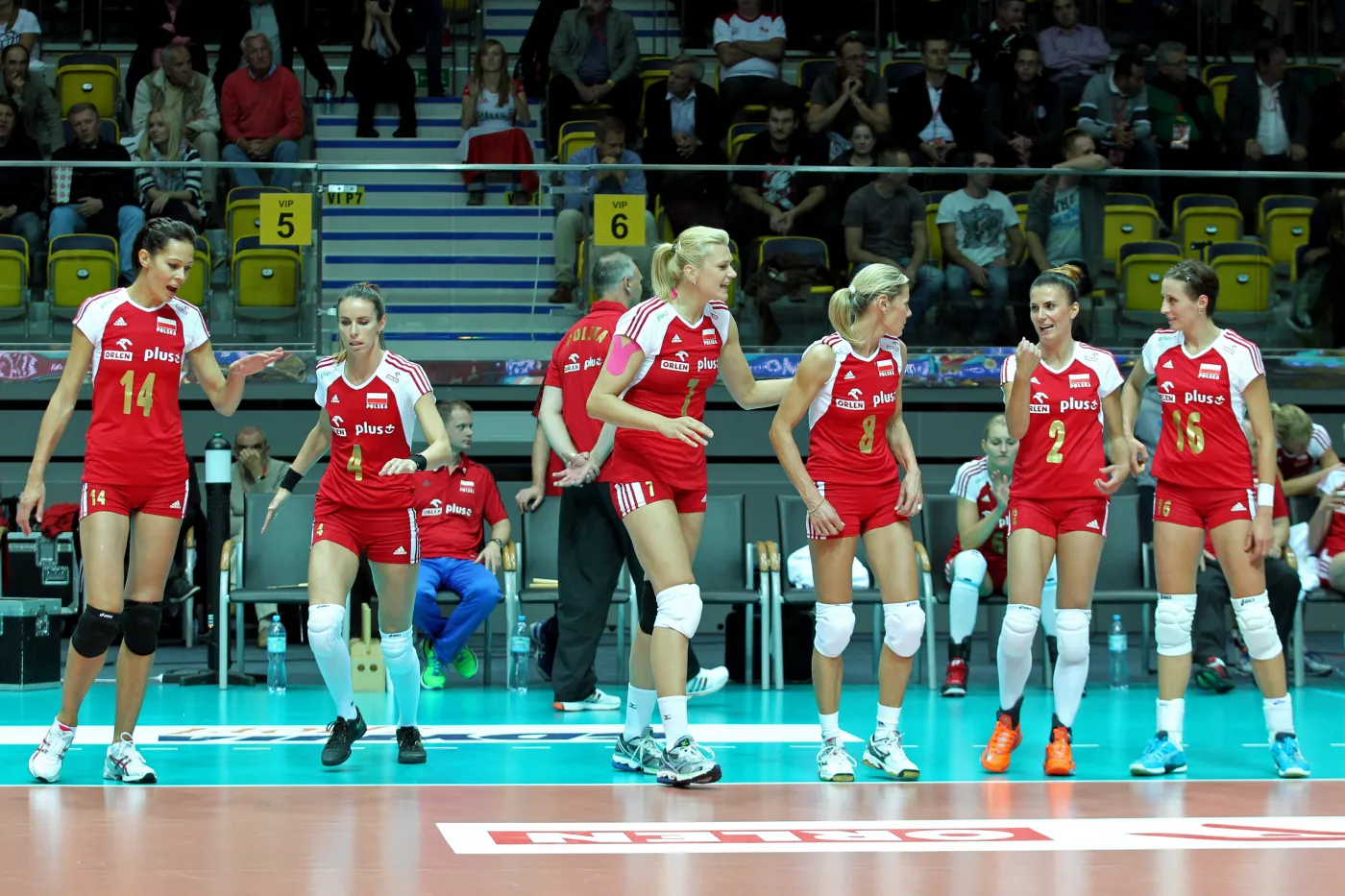 5446630-zlotka.jpg