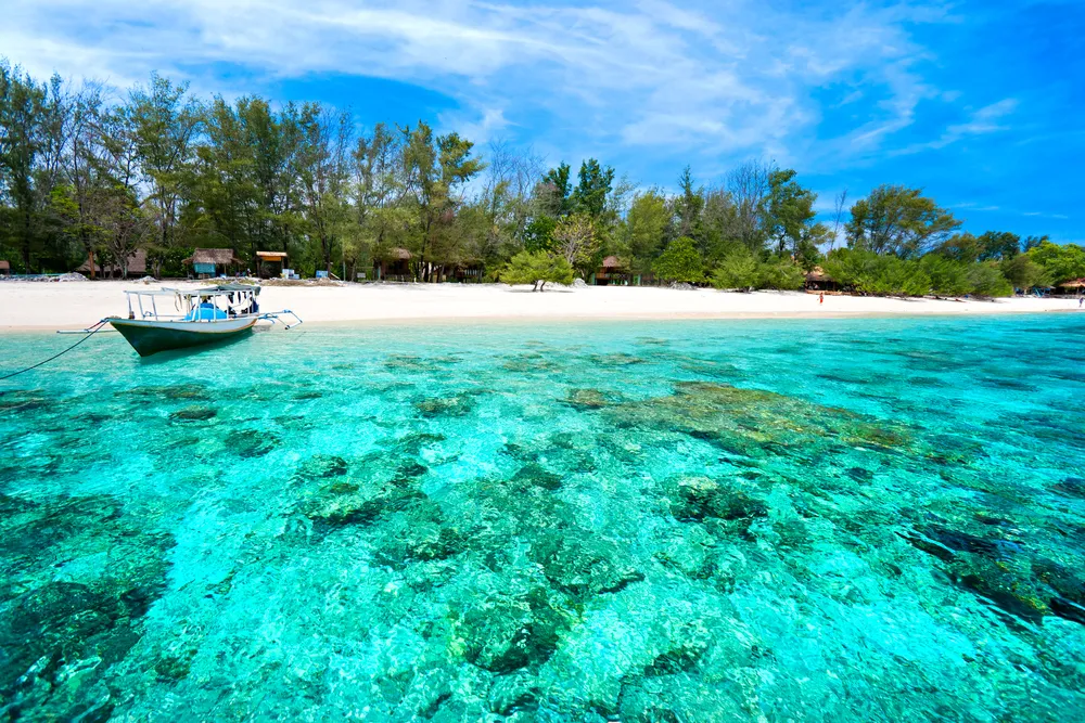 5131469-gili.jpg