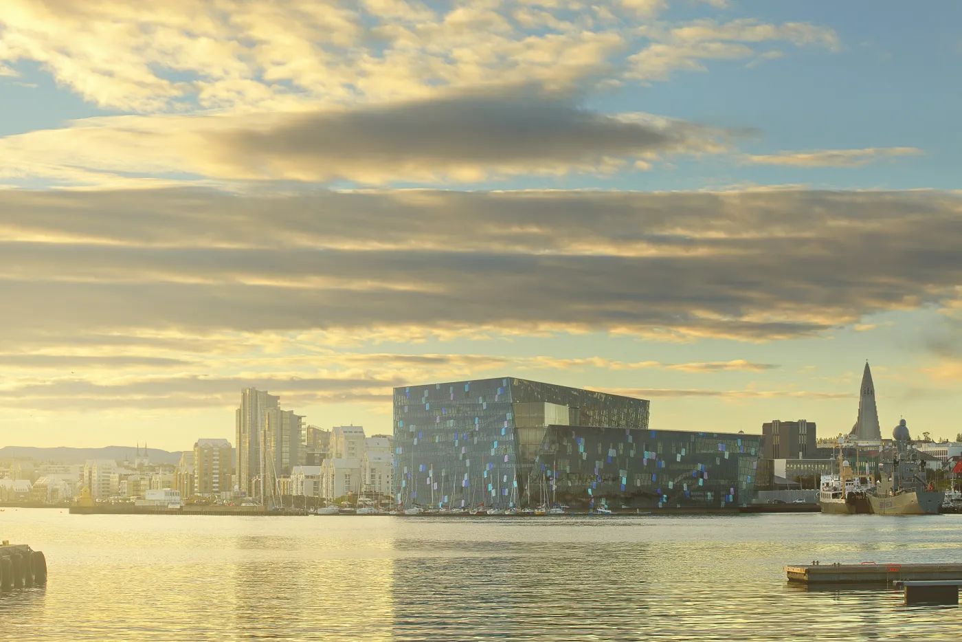 5164613-harpa.jpg