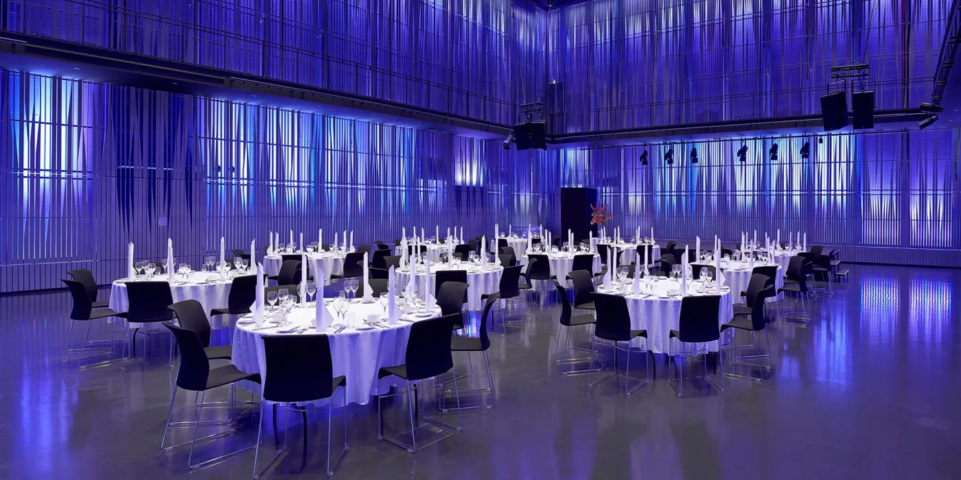 5164988-harpa.jpg