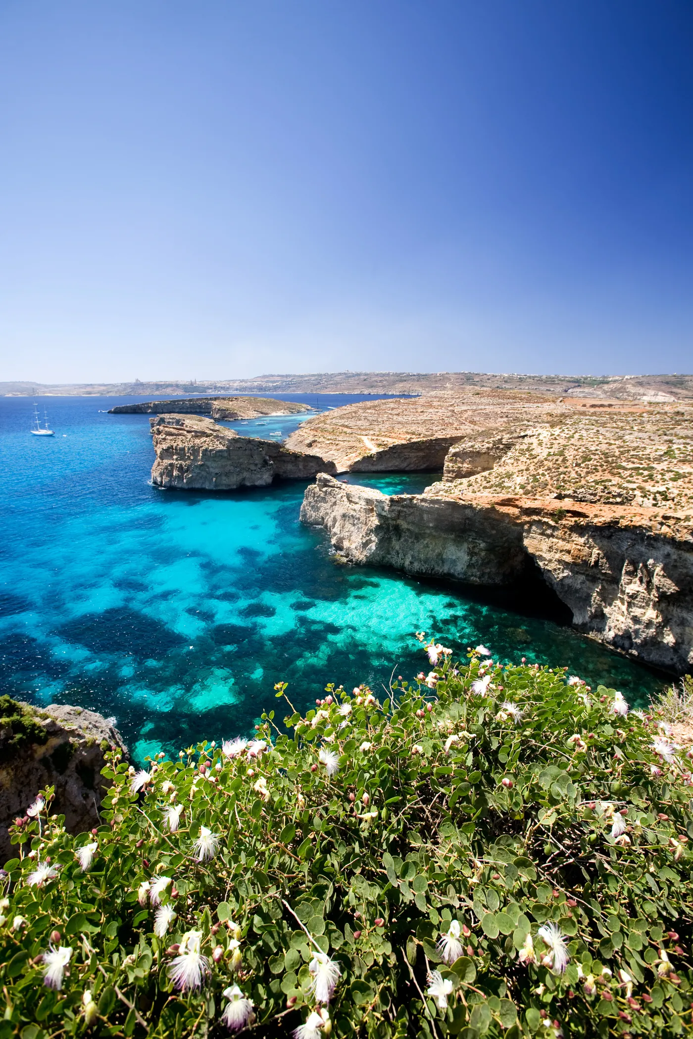 6109238-malta.jpg