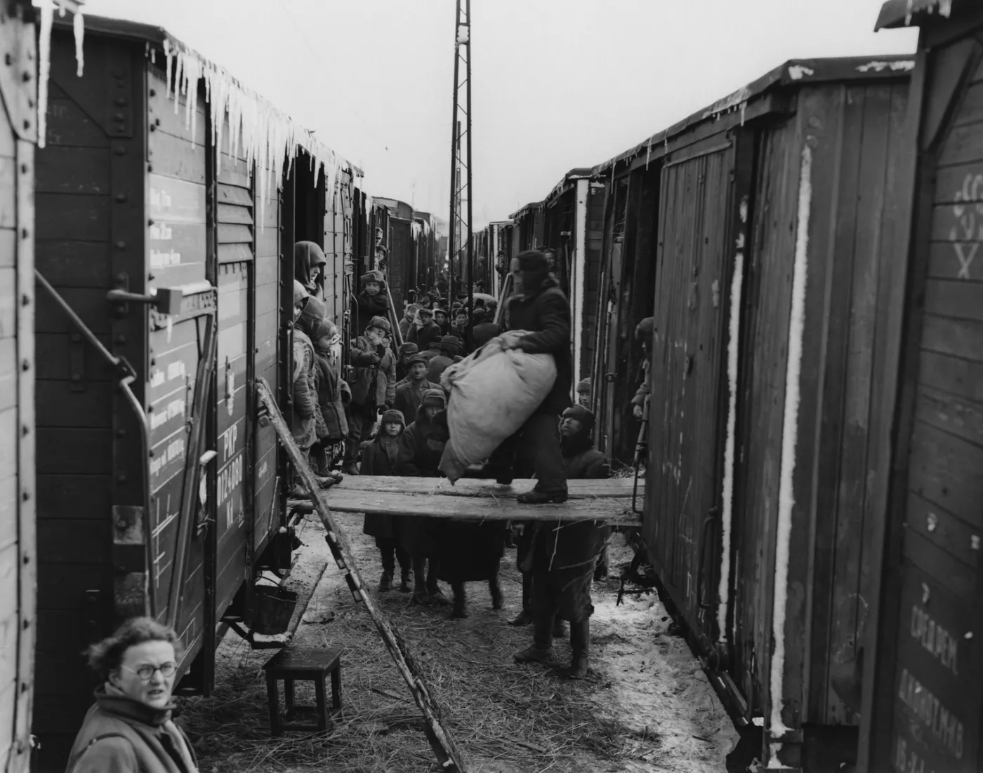 6338425-1946.jpg