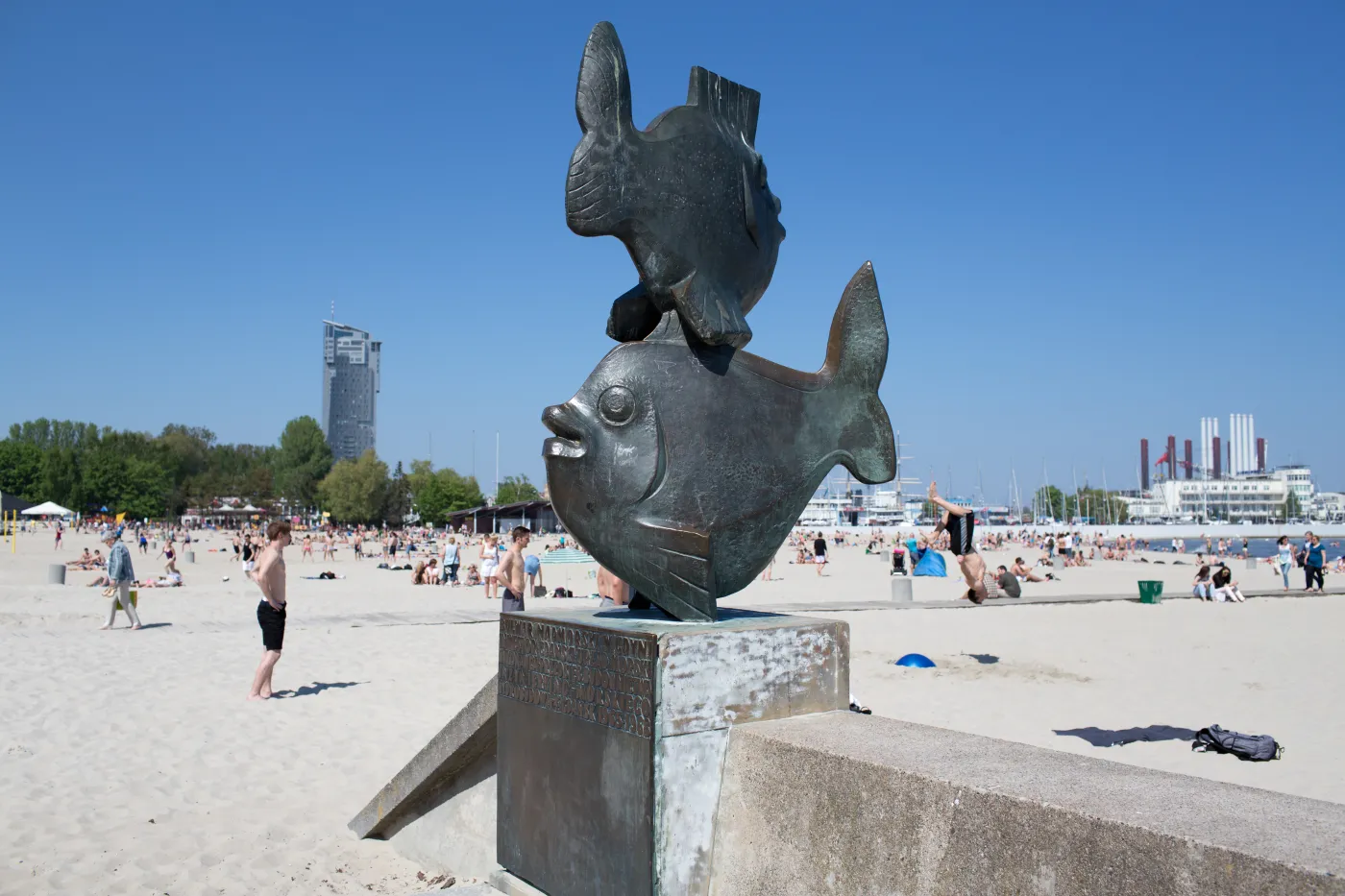 5915782-gdynia.jpg