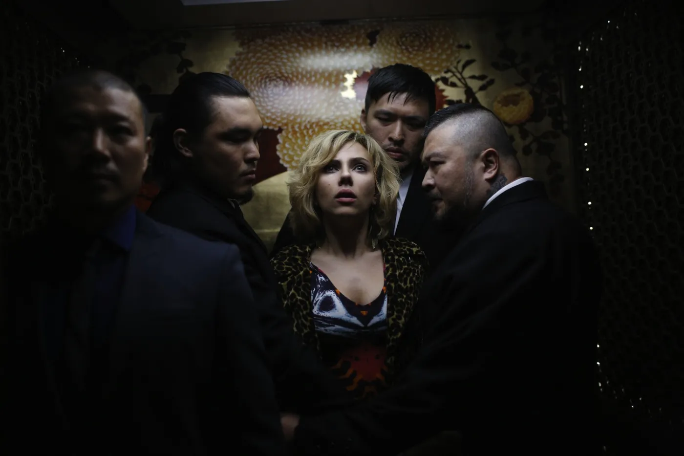 6281267-lucy.jpg